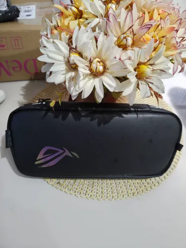 Case de transporte rog Ally aceito cartão