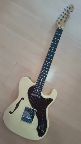Guitarra Tagima Telecaster hollow T-484
