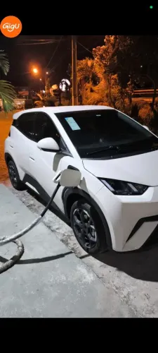 BYD Dolphin Mini (Elétrico) 2026