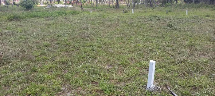 Vendo Lote em São Miguel do milagres