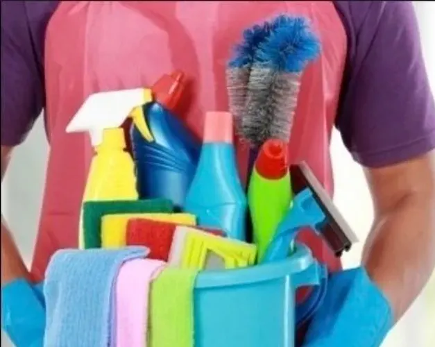 Sou empregado doméstico masculino