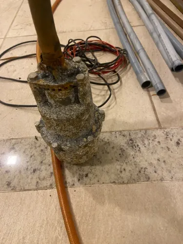 Bomba Sapo 900r 127volts