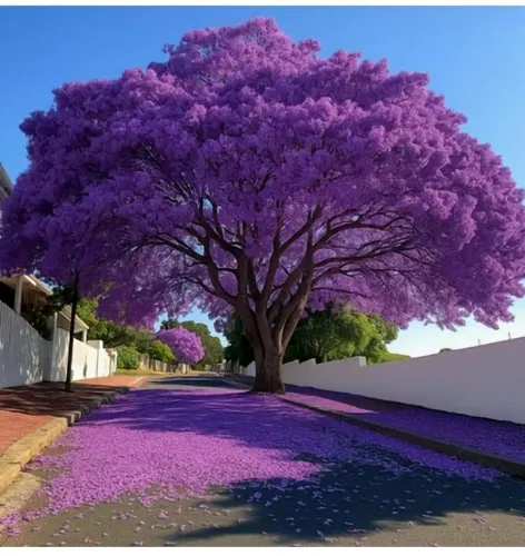 Vendo Casa em excelente com condições de expansão 