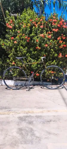 Bike fixa