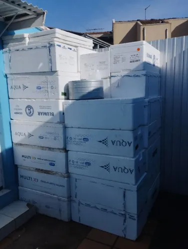 Vendo caixas de isopor com tampa