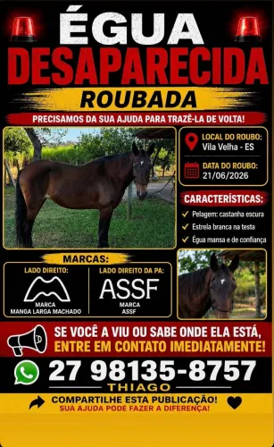 Égua Mangalarga
