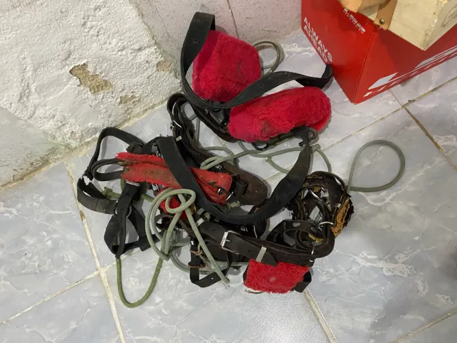 Kit de carroça 
