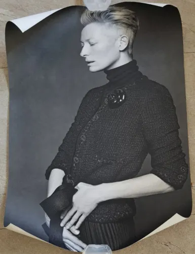 pôster tilda swinton: actress