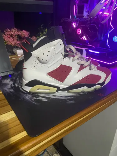 Air jordan 6 Carmine 44