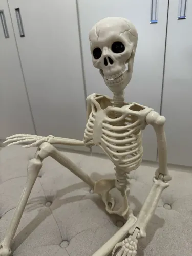 Esqueleto articulado Halloween 90cm