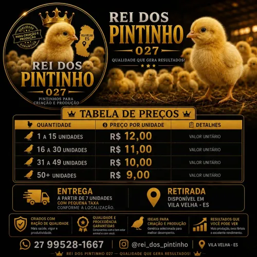 REI DOS PINTINHO 027 PINTINHOS DE QUALIDADE!