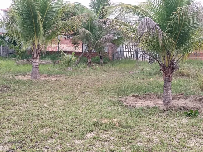 Sítio só o senhor é Deus