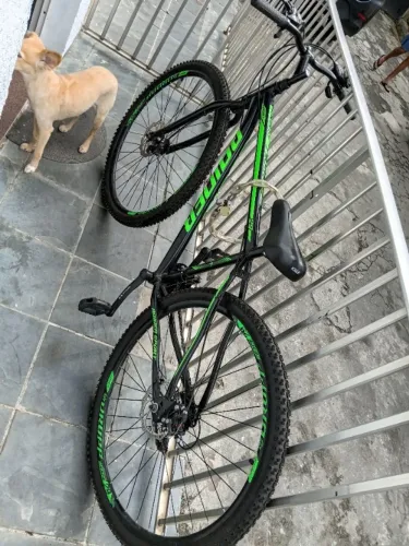 Bicicleta
