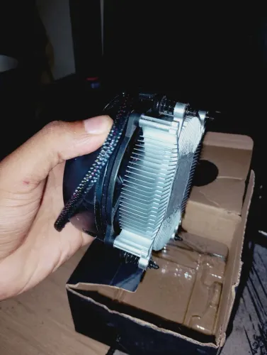 Cooler amd