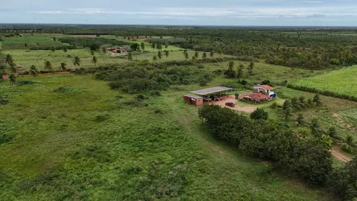 fazenda com 50 hectares na melhor região de Touros riquíssima em água e estrutura