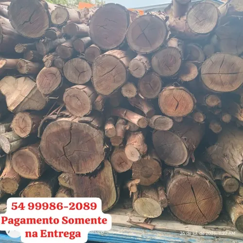 Lenha Bem Seca para fogão e lareira