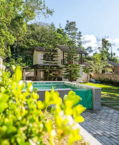 EXCLUSIVIDADE NA SERRA DE MULUNGU-CE.