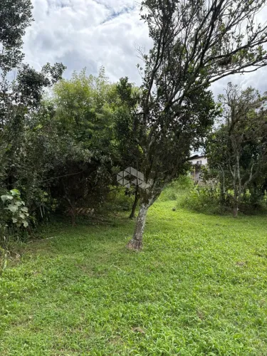 TERRENO OLARIA EM CANOAS