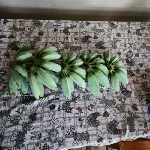 banana