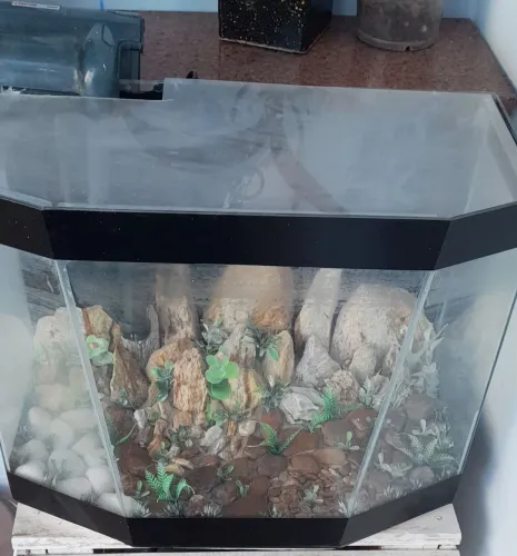 Aquário com bomba