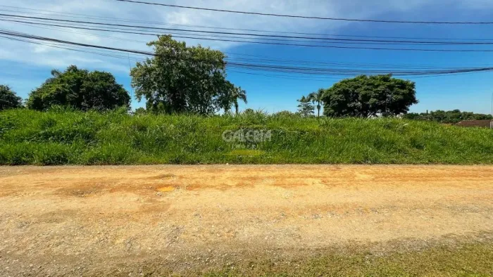 TERRENO no FLORESTA com 0 quartos para VENDA, 1394 m²