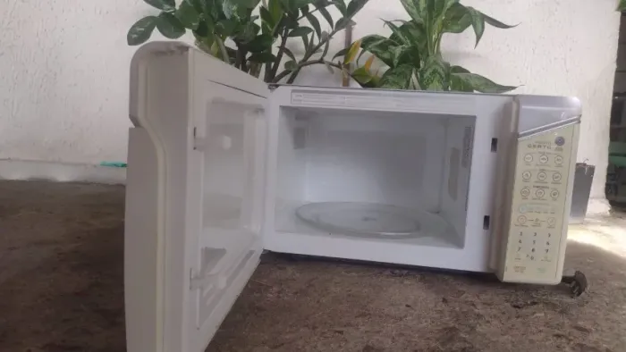 Micro-ondas 30l Electrolux (liga normal, mas não esquenta) - Aceito proposta