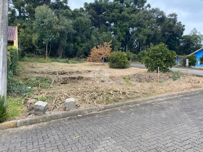 Terreno plano de esquina em Nova Petrópolis