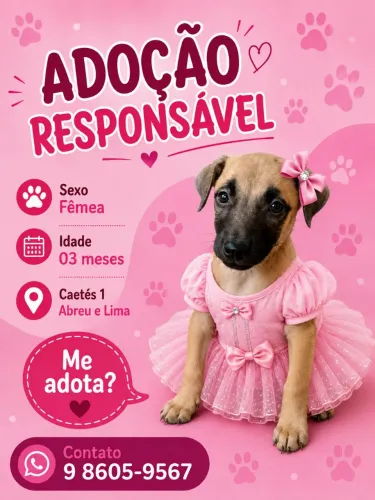 Adoção de Cachorra