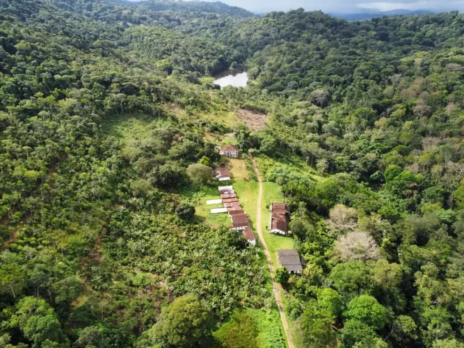 Fazenda de Cacau à Venda em Uruçuca - BA
