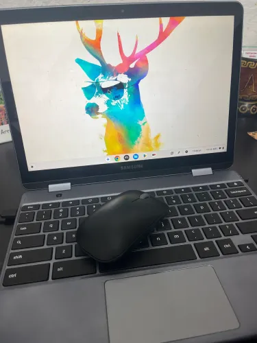 Chromebook Samsung touch