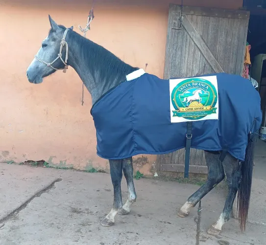 Capa de frio para cavalo