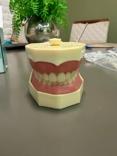 Vendo Kit Manequim Odontológico da marca Orais completo para estudantes de Odontologia.
