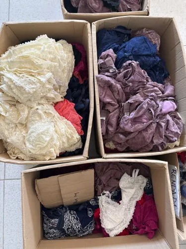 Lote de lingerie para revenda