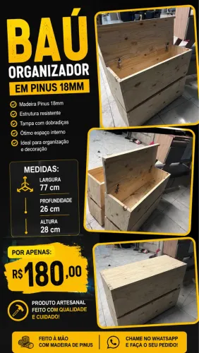Baú organizador