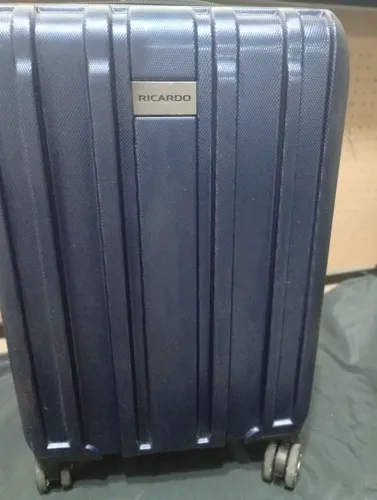 mala de viagem ricardo beverly hills