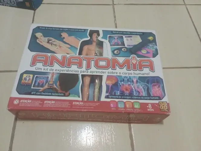 Anatomia