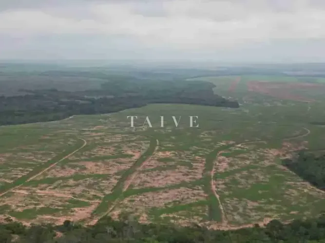Fazenda 3000 hectares à venda , área plana, casa sede, barracão, poço artesiano, internet 