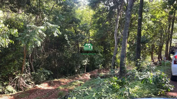 Chácara para Venda Sítio de Recreio Presidente, Goianápolis (Ligado à Vila São Vicente - I