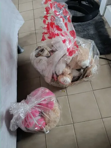 12 ursos de pelúcia usados por 200