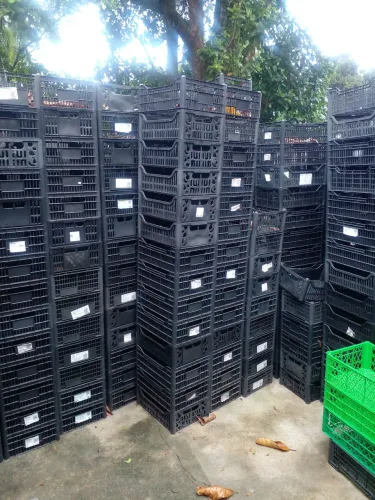 Caixas plásticas 