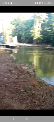 Lote com acesso a igarapé
