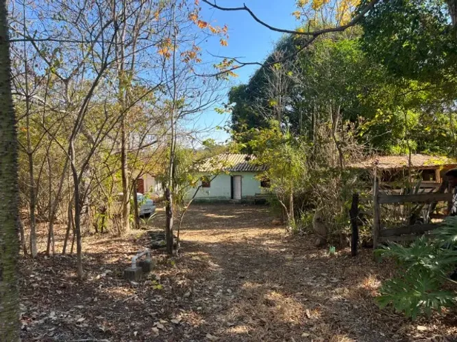 Excelente terreno rural de 9,5 hectares, com casa, lagoa, pomar produzindo e curral.