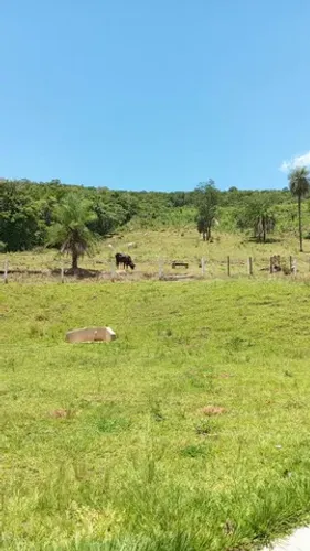 Chácara em Americano do Brasil, Goiás 2.65 alqueires 800.000 em dinh.