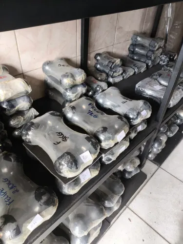 Halter de todos os pesos 