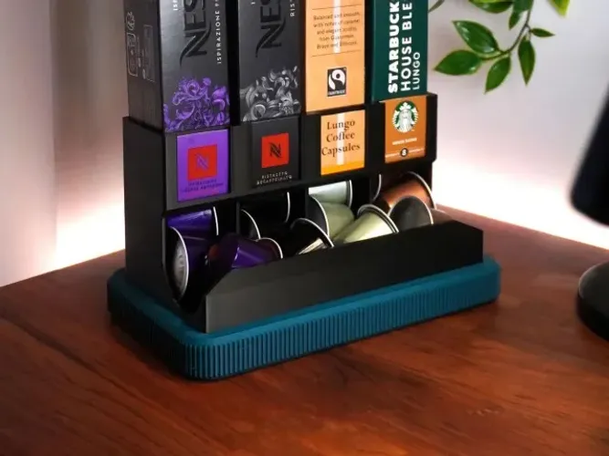 Organizador