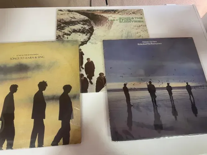 vendo 3 lp's echo & the bunnymen