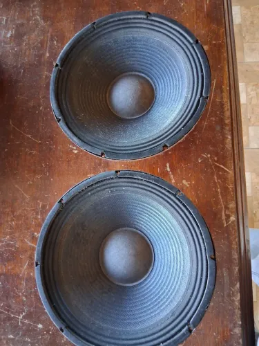 Alto-falante 10 polegadas 8 ohms