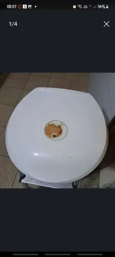 Sanduicheira 25,00