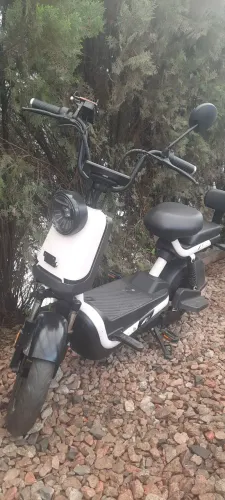 Scooter elétrica 1000w PANDA
