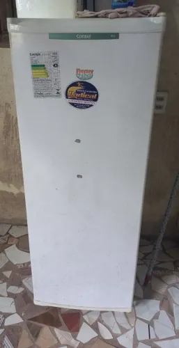 Freezer vertical